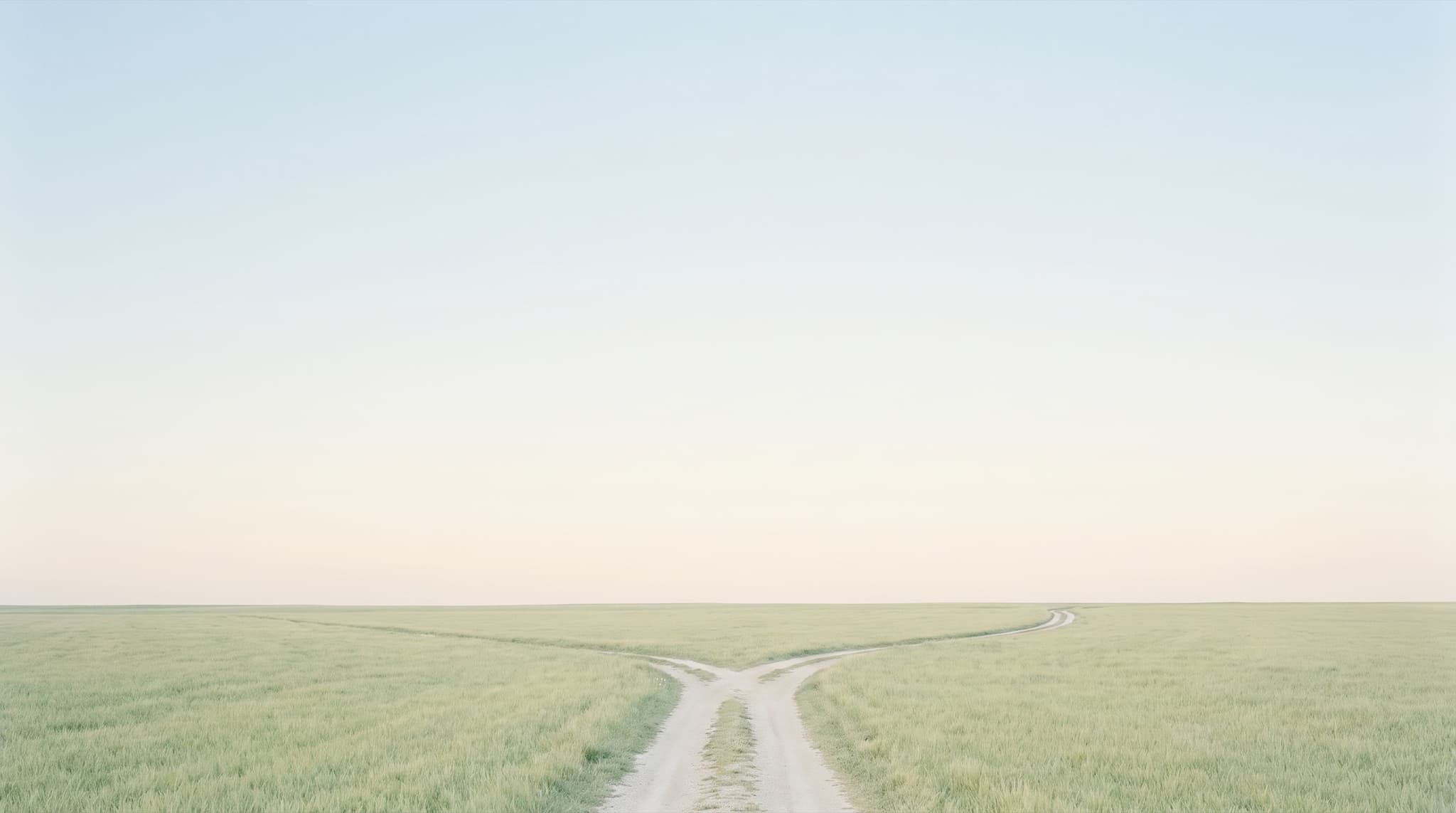Yeşil tarlada ikiye ayrılan toprak yol